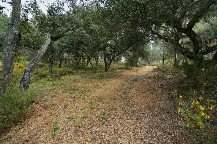 0 Valle Pacifico, Salinas, California 93907