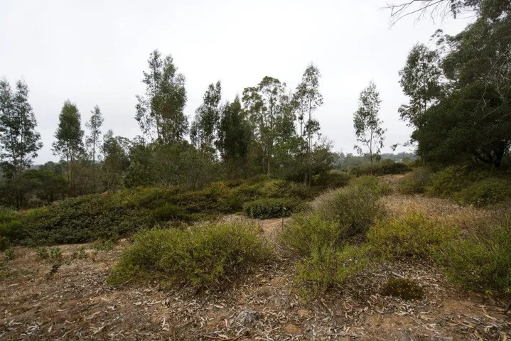 0 Valle Pacifico, Salinas, California 93907