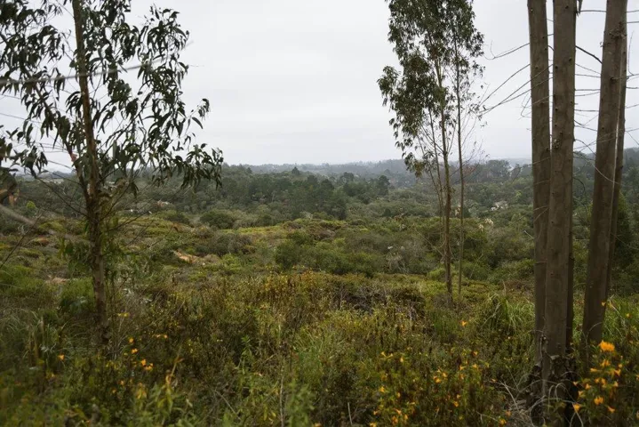 0 Valle Pacifico, Salinas, California 93907