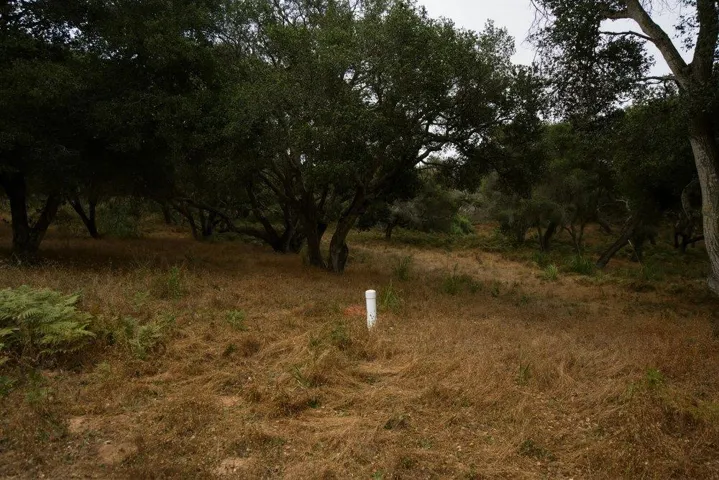 0 Valle Pacifico, Salinas, California 93907