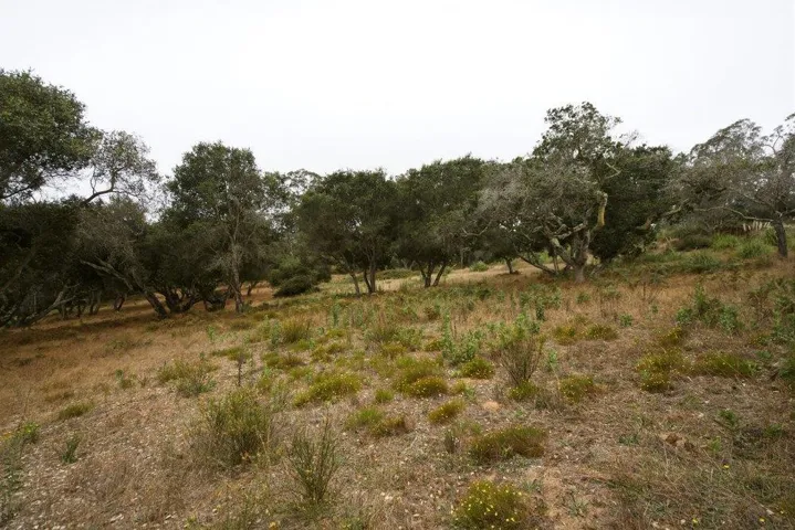 0 Valle Pacifico, Salinas, California 93907