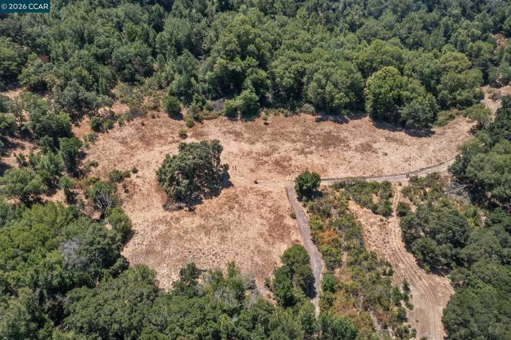 1180 Bear Creek Rd, Martinez, California 94553 — photo 5