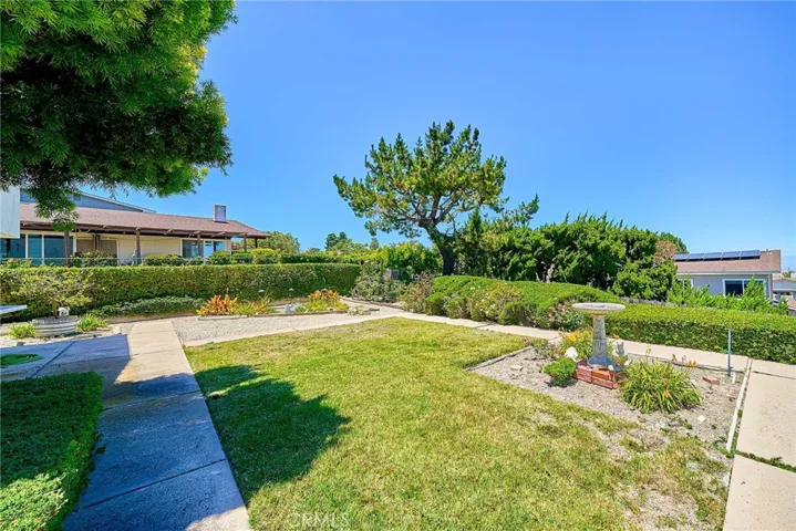 Spacious Backyard
