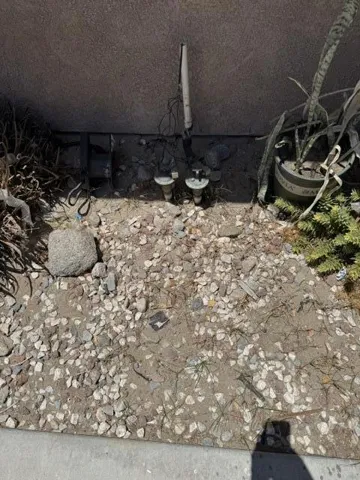 IMG_0357