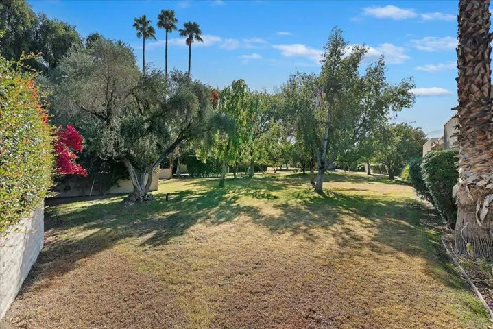 29-Back Yard