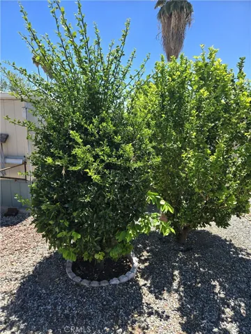 250 Santa Clara, Hemet, California 92543