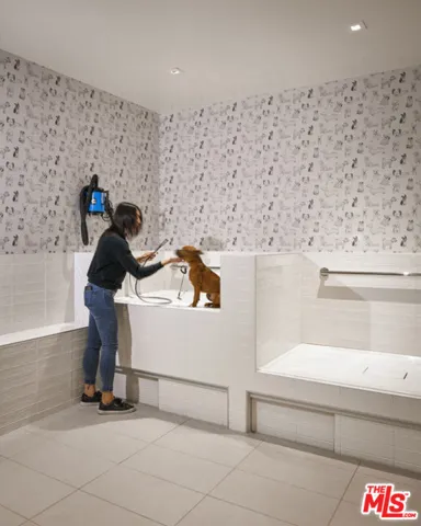 Pet Spa