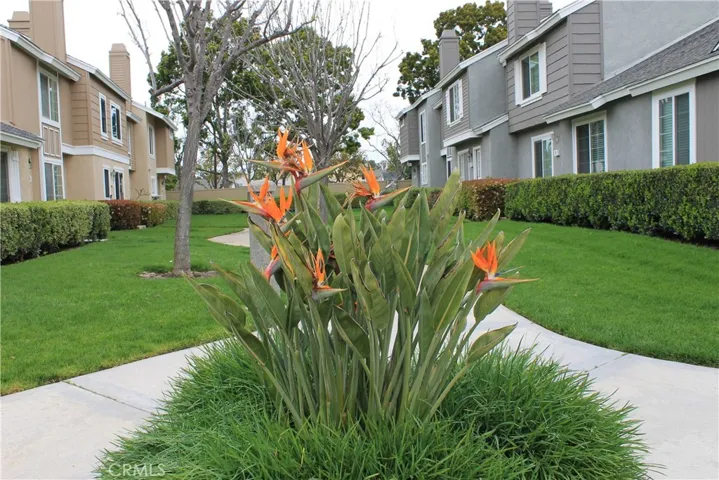 73 Fox Hollow, Irvine, California 92614
