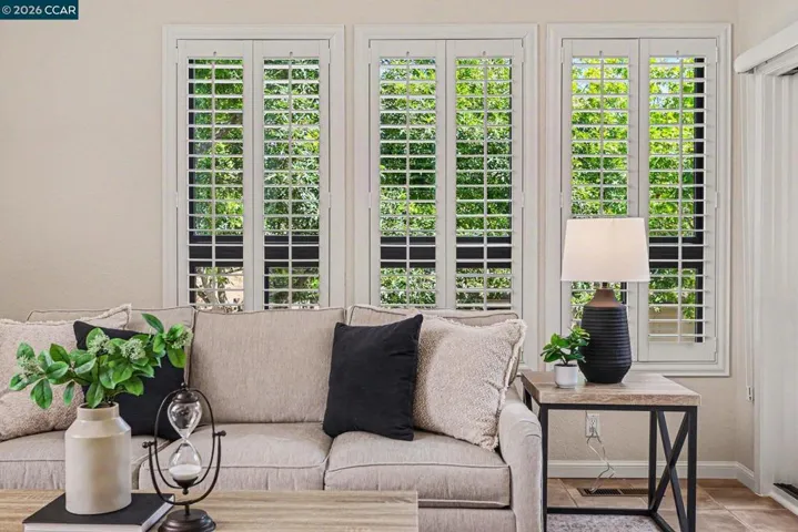 Verdant Views