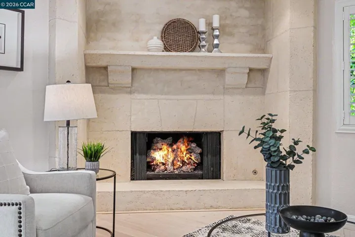 Elegant Fireplace