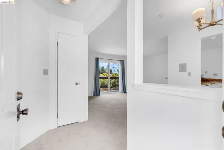 417 Evelyn Ave 205, Albany, California 94706
