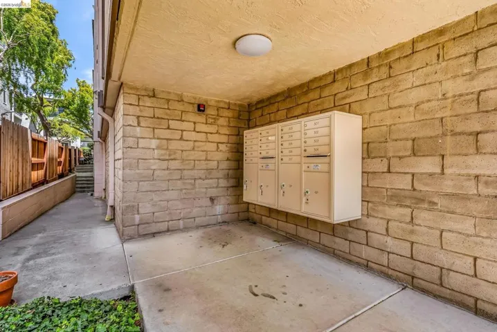 417 Evelyn Ave 205, Albany, California 94706