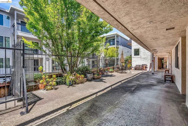 417 Evelyn Ave 205, Albany, California 94706