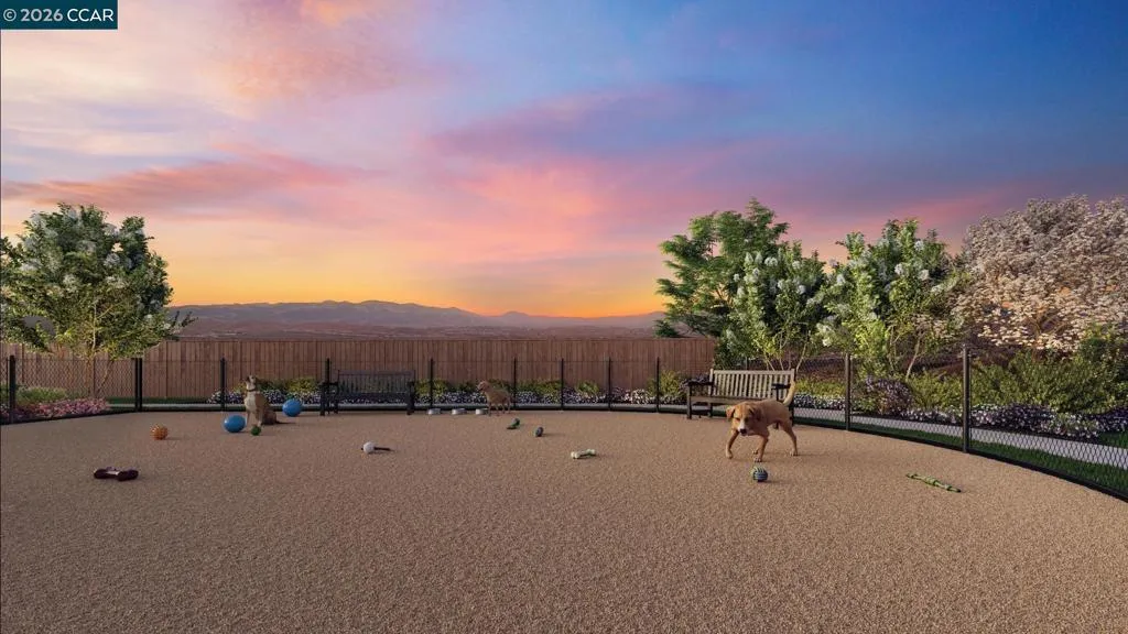 Dog park