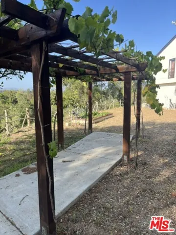 Lower garden grape gazebo
