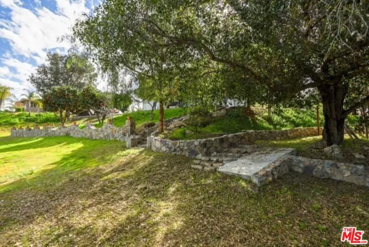 Springtime fruit tree area