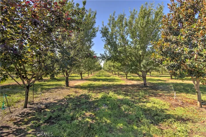 8176 County Road 44, Glenn, California 95943