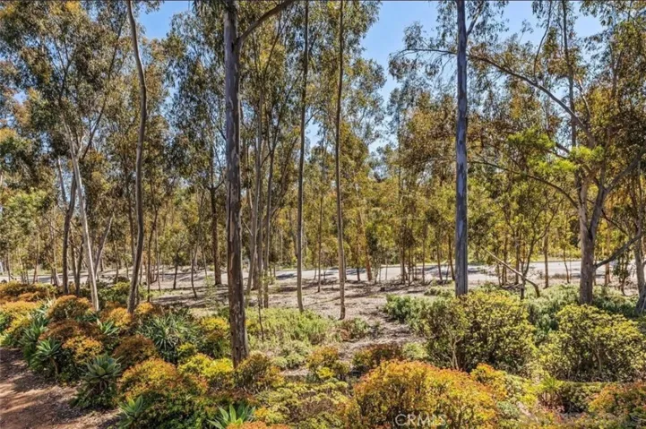 10541 Caminito Basswood, San Diego, California 92131