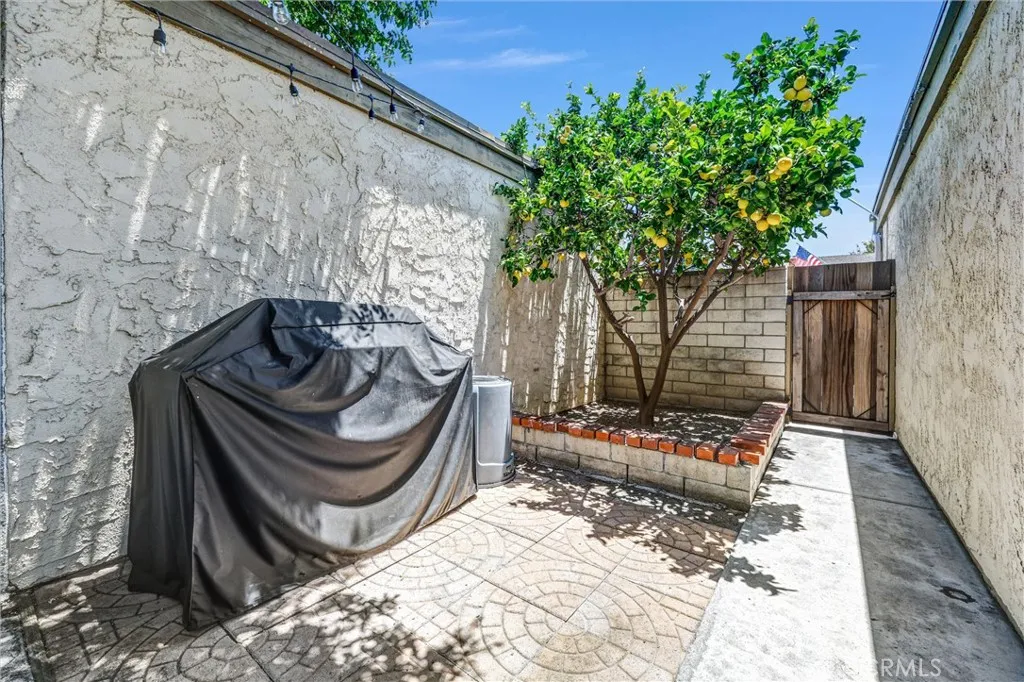 Backyard Gate Entrance