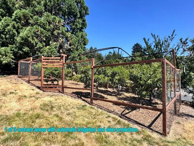 , Los Gatos, California 95033