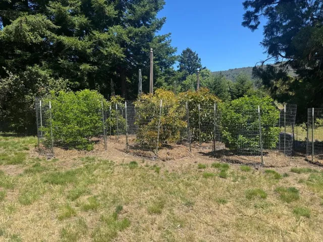 , Los Gatos, California 95033
