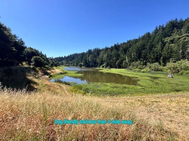 , Los Gatos, California 95033