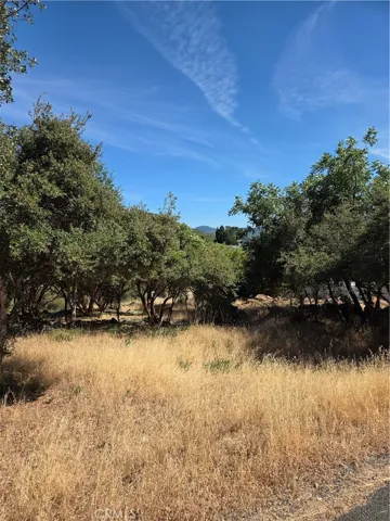 5470 Cheyenne Way, Kelseyville, California 95451