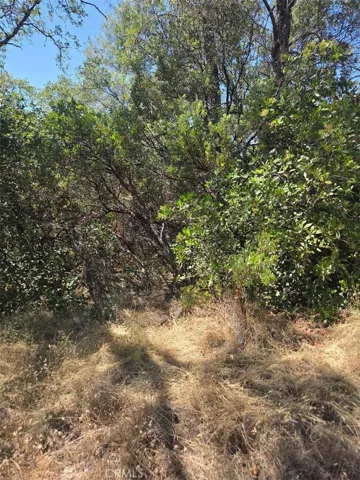 0 Roemelt Lane, Oroville, California 95966