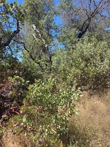 0 Roemelt Lane, Oroville, California 95966
