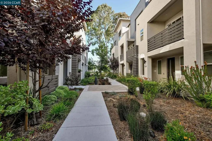 1212 Azure Ct, San Ramon, California 94583