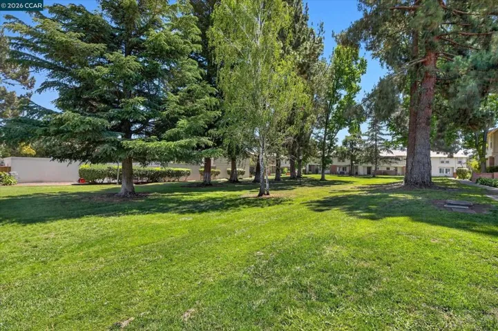 1806 Wildbrook Ct A, Concord, California 94521