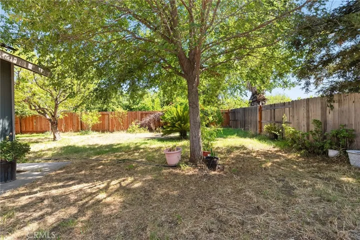 1033 Date Street, Orland, California 95963