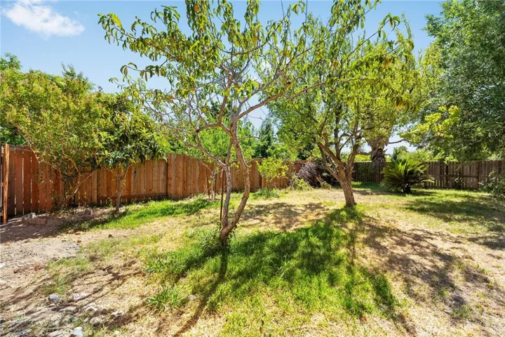 1033 Date Street, Orland, California 95963