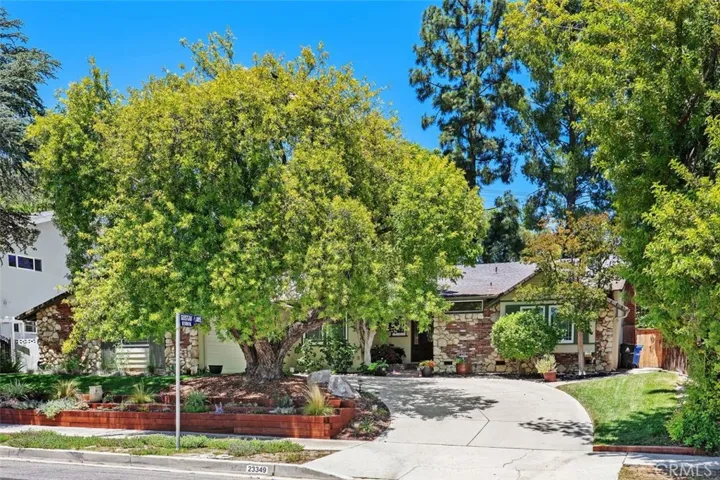 Concrete driveway