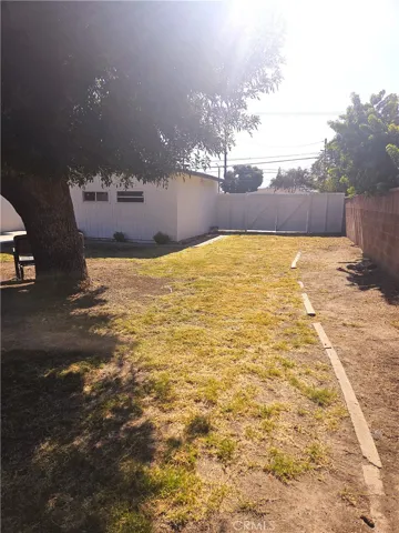 Back yard
