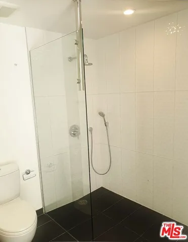 Primary Shower