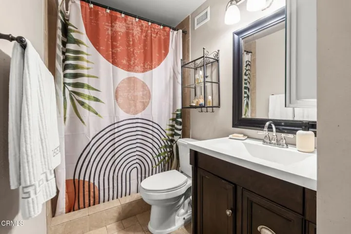 136_Tree_Fern_Ct-23