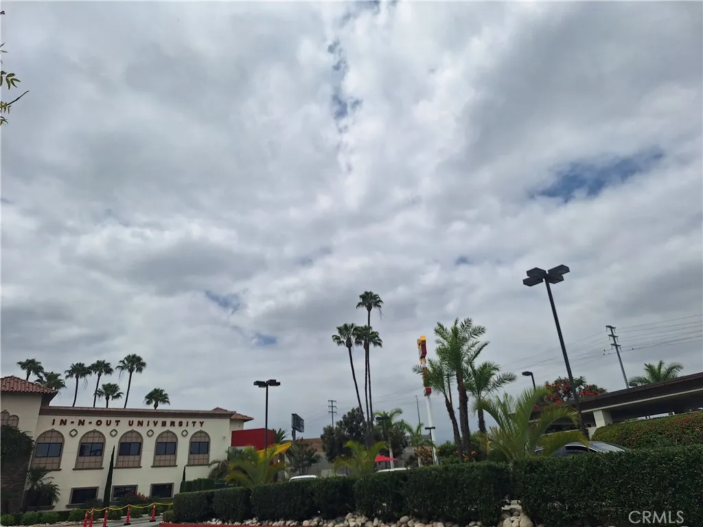 In-N-Out Burger gift shop/University.