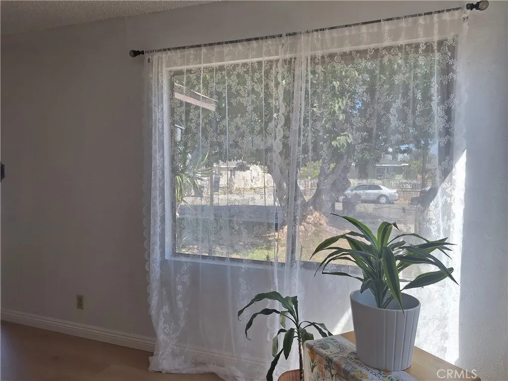 looking out to the street from the living room
