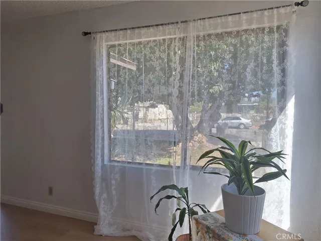 looking out to the street from the living room