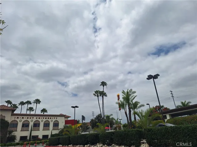 In-N-Out Burger gift shop/University.