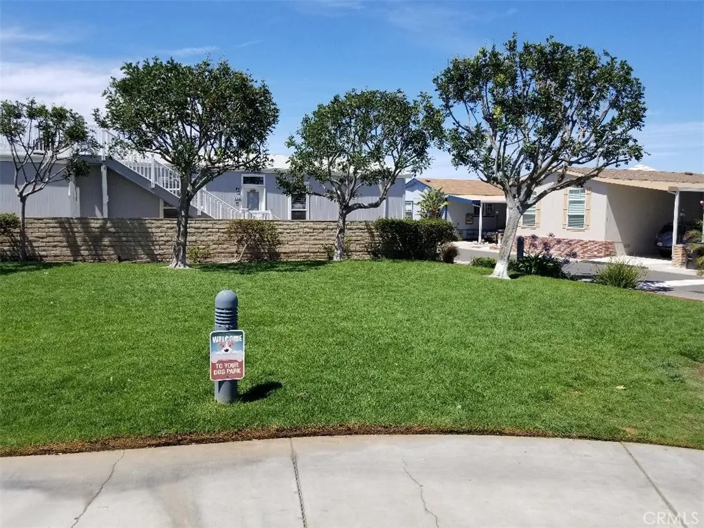 dog park