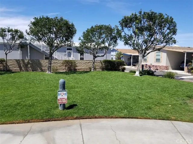 dog park