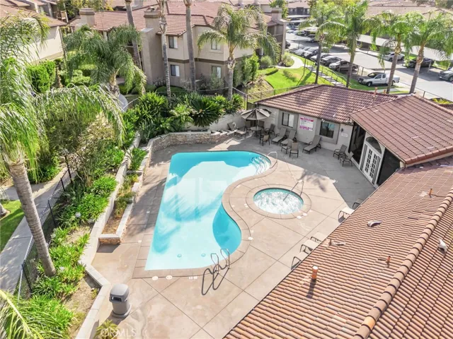 Resort-style community pool and spa surrounded by mature palm trees and lush landscaping.