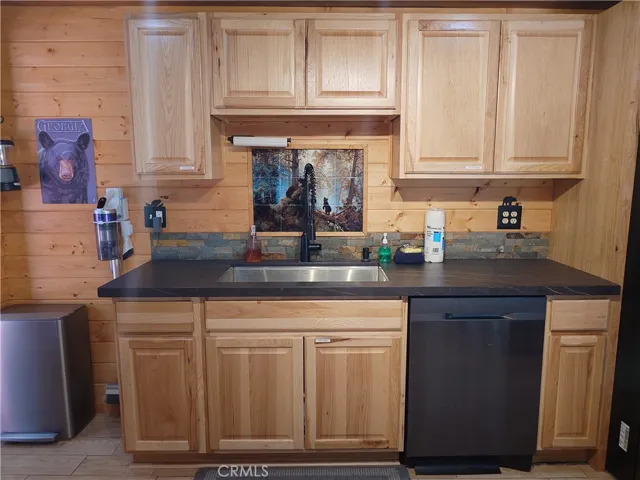 Kitchen Sink and Dishwasher