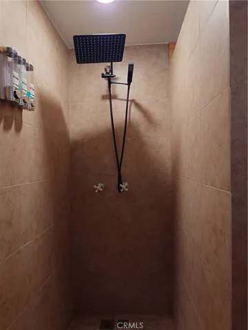 Walk-in Shower