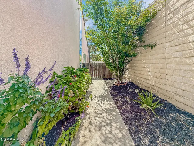 lBackyard2