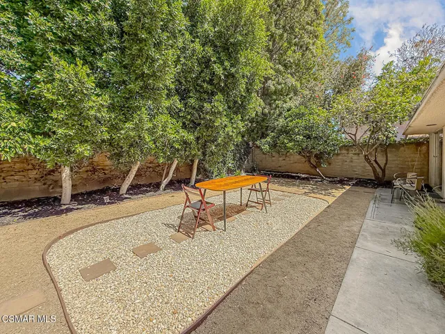 lBackyard6