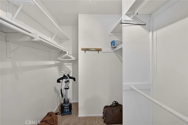 Master Walk in Closet
