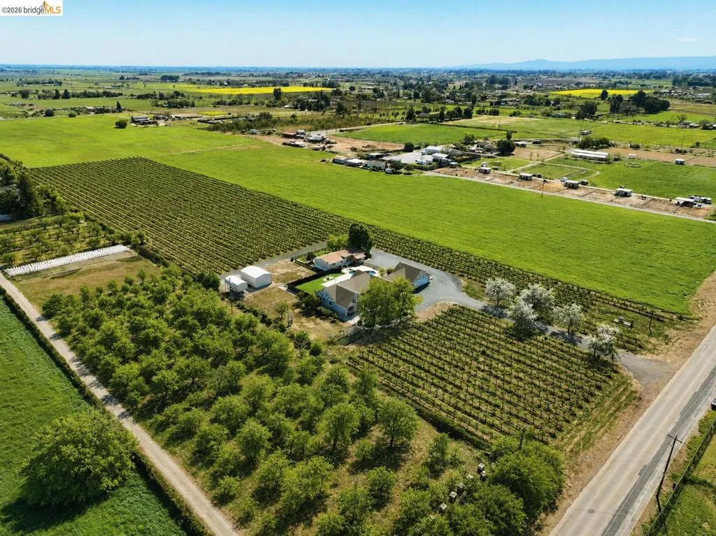 Expansive agricultural property featuring multiple vineyards, an orchard, and a single-family residence